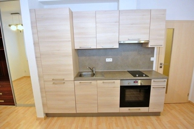 Pronájem byty 1+kk, 30 m2 s parkováním - Jednořadá, Praha 6 - Bubeneč